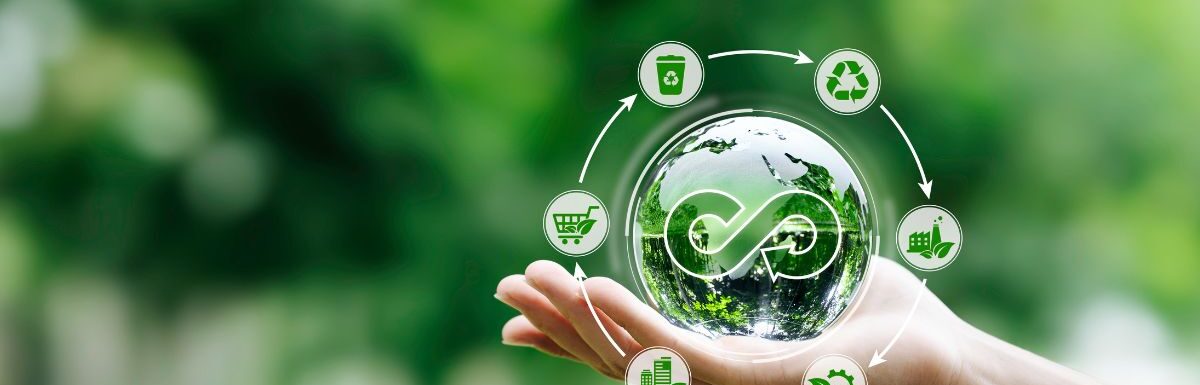 Adoption de l’économie circulaire comme business model.