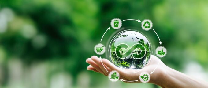 Adoption de l’économie circulaire comme business model.