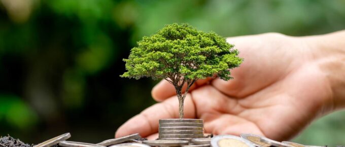 Intégration du développement durable dans sa stratégie d’entreprise.