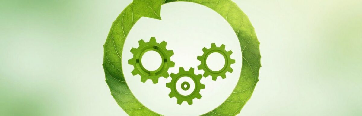 Économie circulaire : un modèle durable pour les PME innovantes