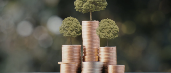 Chemin sinueux vers un horizon ensoleillé, symbolisant l'investissement.
