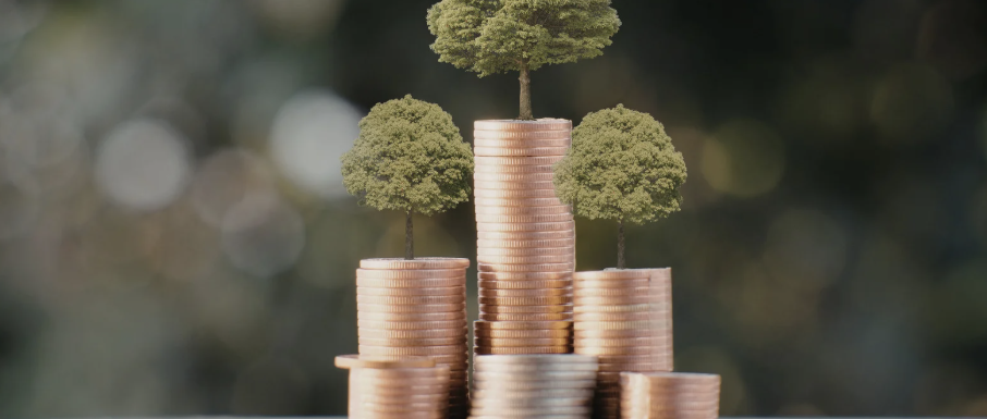 Chemin sinueux vers un horizon ensoleillé, symbolisant l'investissement.